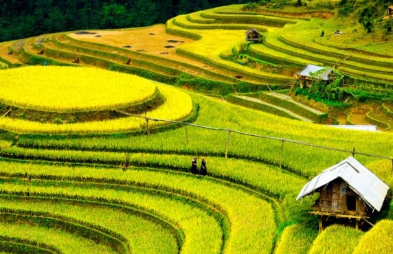 Yen Bai En 5 Jours : Avis Sur L’itinéraire Au Nord Vietnam De M. Diop Yen Bai En 5 Jours : Avis Sur L’itinéraire Au Nord Vietnam De M. Diop