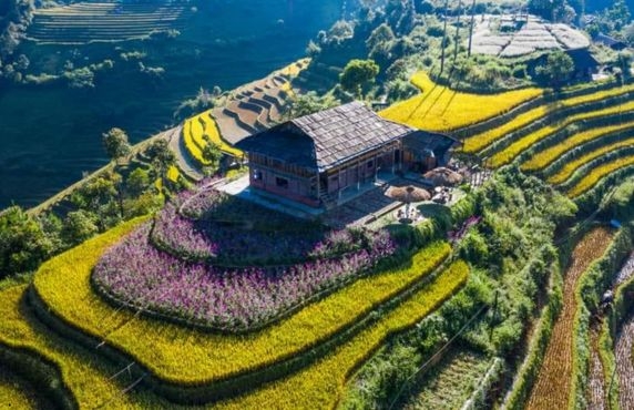 Séjours Chez L'habitant à Mu Cang Chai: Top 6 Homestays à Mu Cang Chai Séjours Chez L'habitant à Mu Cang Chai: Top 6 Homestays à Mu Cang Chai