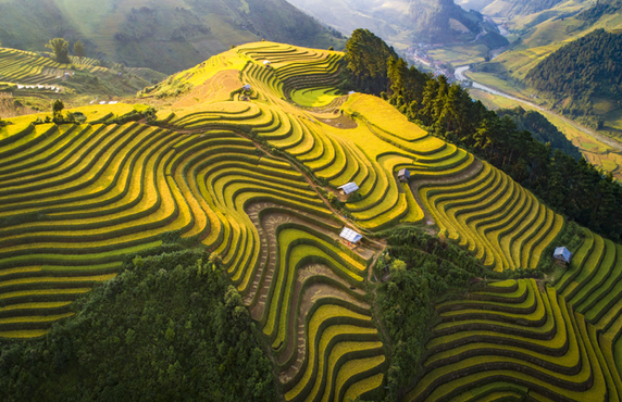 Mu Cang Chai Vietnam: Meilleure Période Pour Voyager À Mu Cang Chai Mu Cang Chai Vietnam: Meilleure Période Pour Voyager À Mu Cang Chai