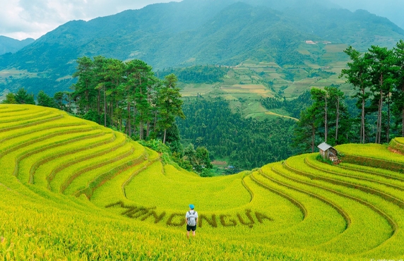 Tu Le Ou Mu Cang Chai? Quel Est Le Meilleur Choix Pour Votre Voyage à Yen Bai? Tu Le Ou Mu Cang Chai? Quel Est Le Meilleur Choix Pour Votre Voyage à Yen Bai?