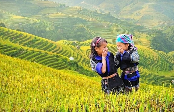 Vallée De Tu Le: Un Guide Complet Pour Votre Visite à Tu Le Vietnam Vallée De Tu Le: Un Guide Complet Pour Votre Visite à Tu Le Vietnam