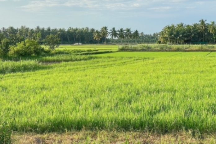 Le village agricole Ban Don Saingam (B,L,D)
