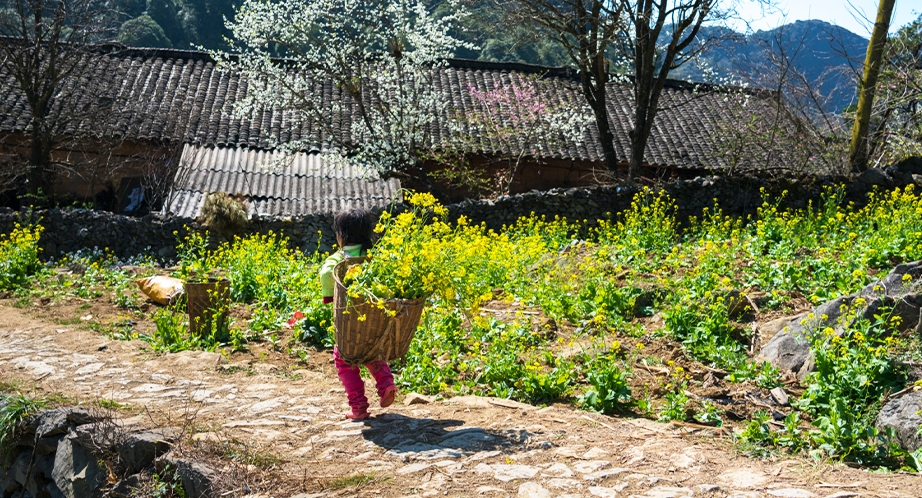 Dong Van, Ha Giang, Vietnam