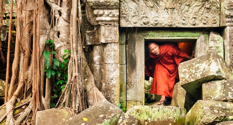 Ta Prohm temples, Cambodge
