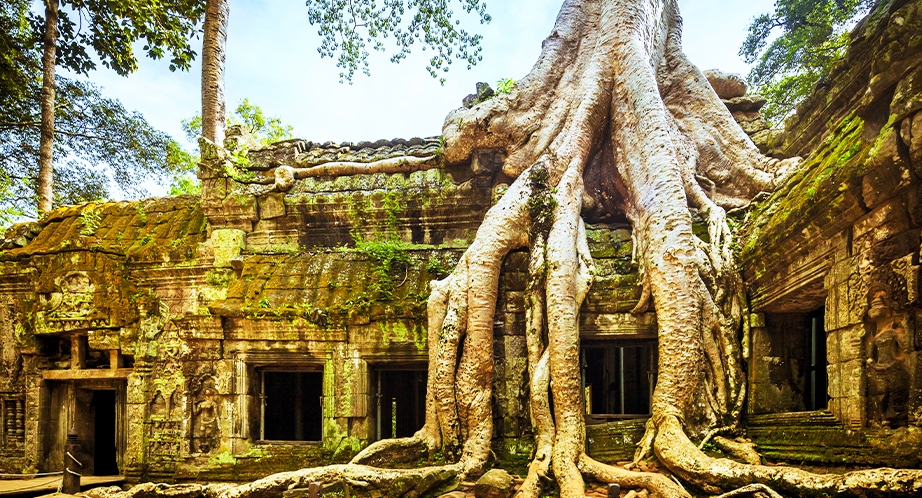 Ta Prohm temples, Cambodge