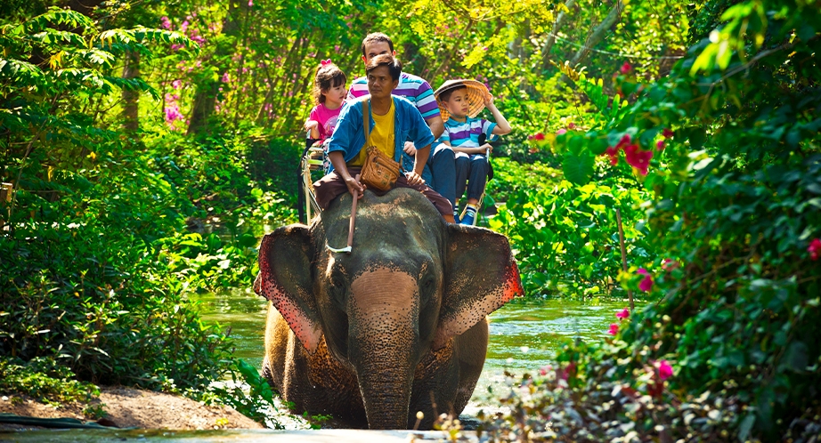 Sanctuaire de la jungle des éléphants Chiang Mai