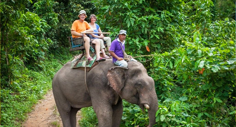 Balade à dos d'éléphant à Chiang Rai