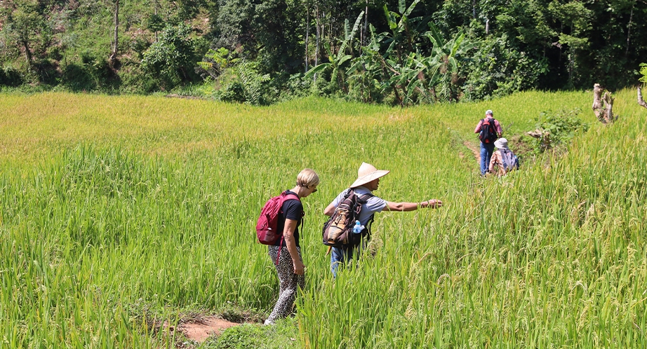 Randonnée dans la vallée de Mai Chau