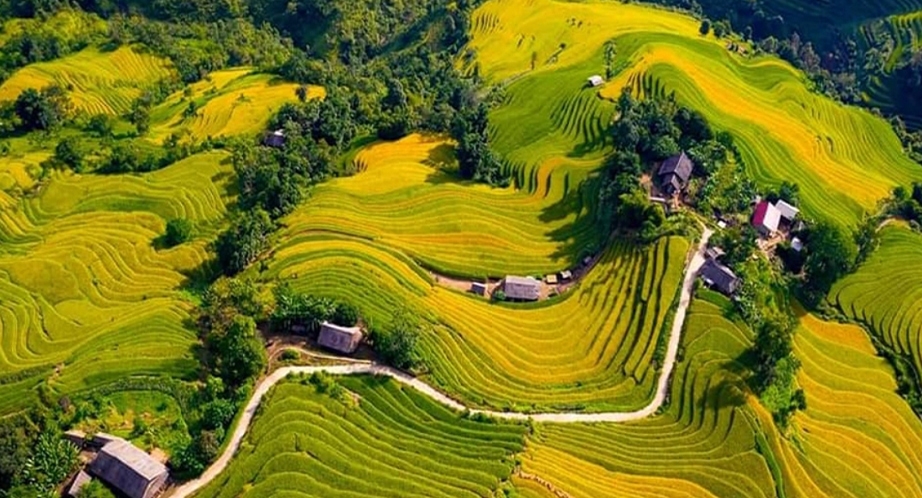 Randonnée à Sapa Vietnam