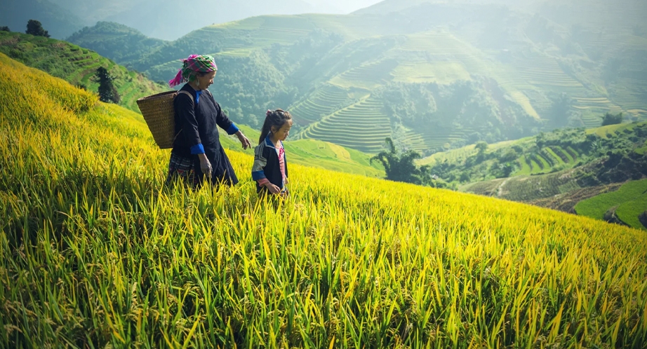 Randonnée à Sapa Vietnam