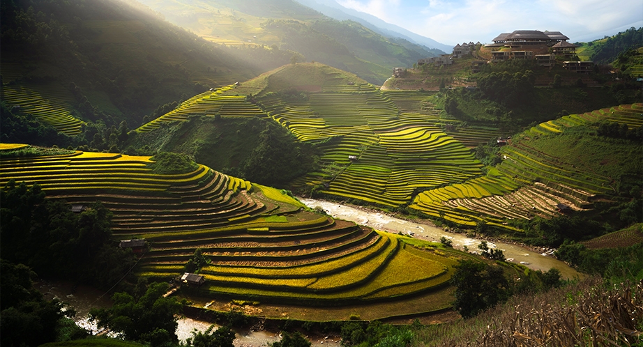 Rizière en terrasses à Sapa