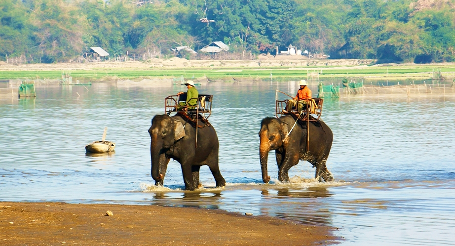 Lac Lak (Balade à dos d'éléphant)