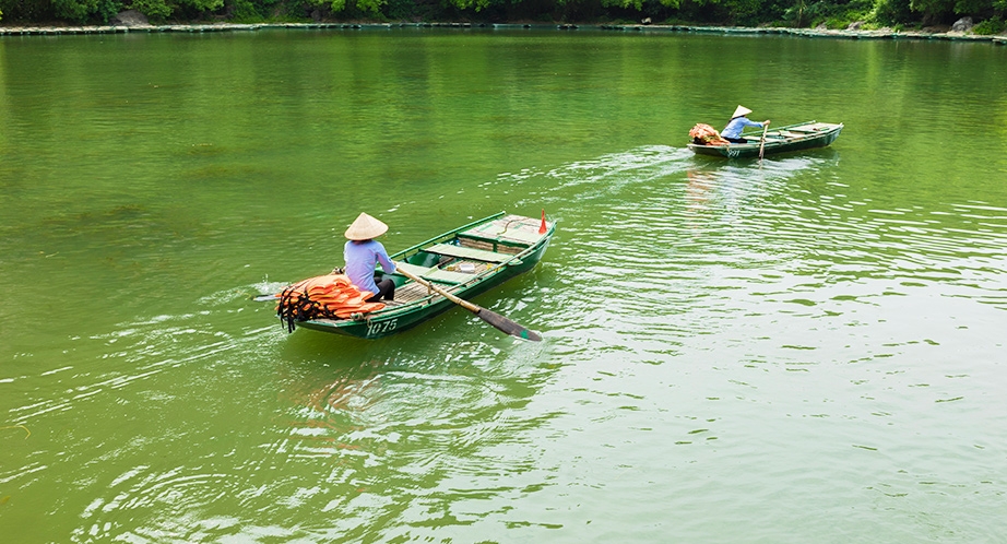 Croisière en barque à Thung Nham (Ninh Binh)