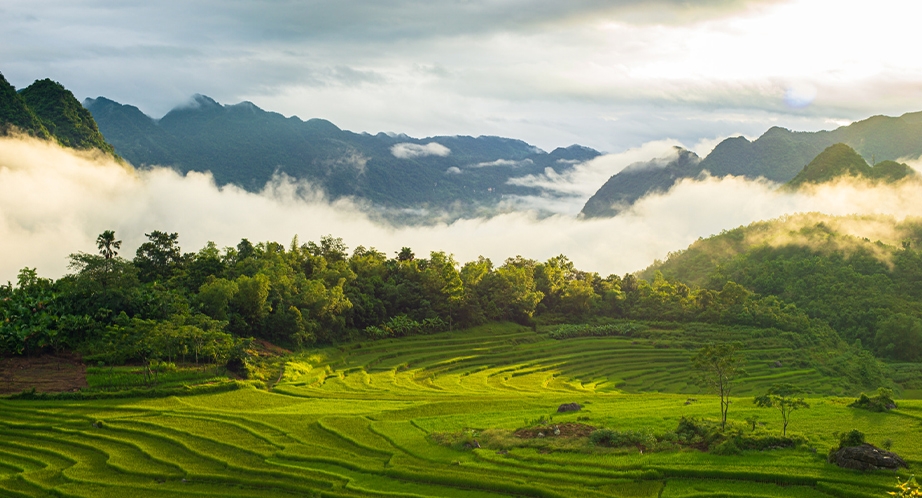 Pu Luong Réserve Naturelle du Vietnam