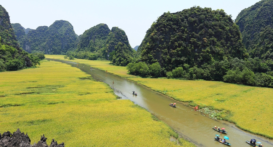 Croisière en barque à Thung Nham (Ninh Binh)