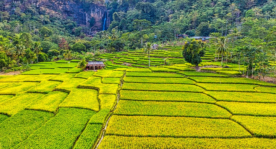 Vallée de Mai Chau