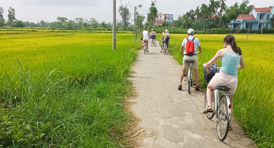 Balade à vélo (Écotour à Hoi An)