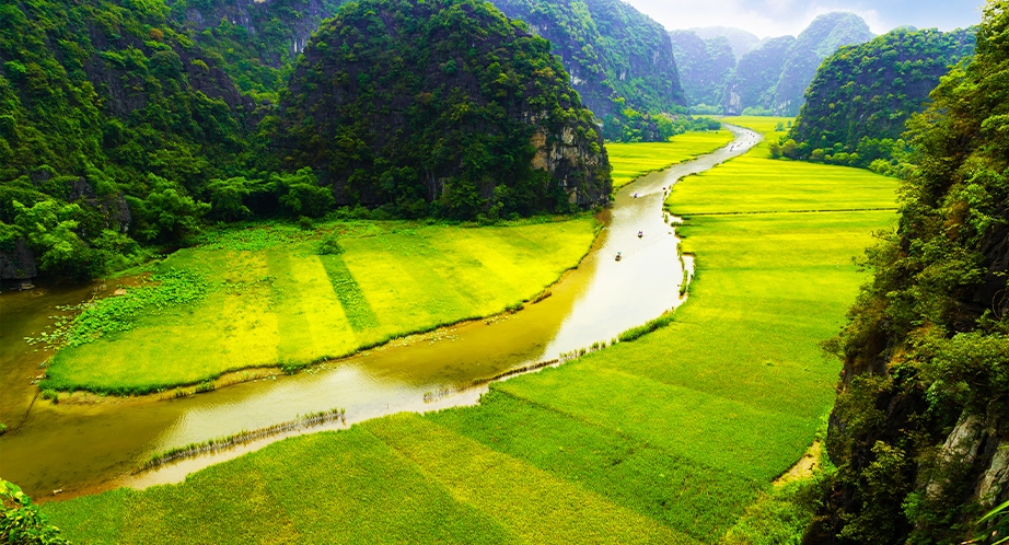 Croisière en barque à Thung Nham (Ninh Binh)