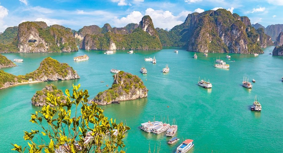 Croisière à la baie d'Halong