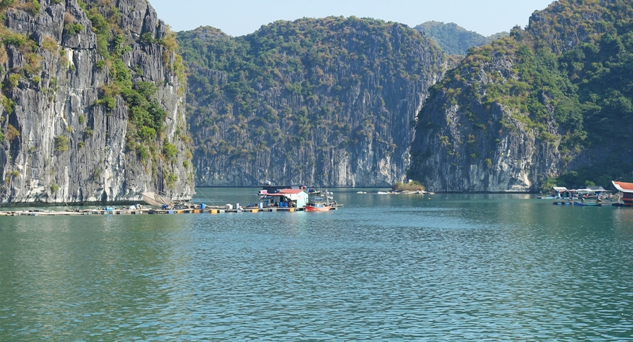 Baie d'Halong (Vietnam)