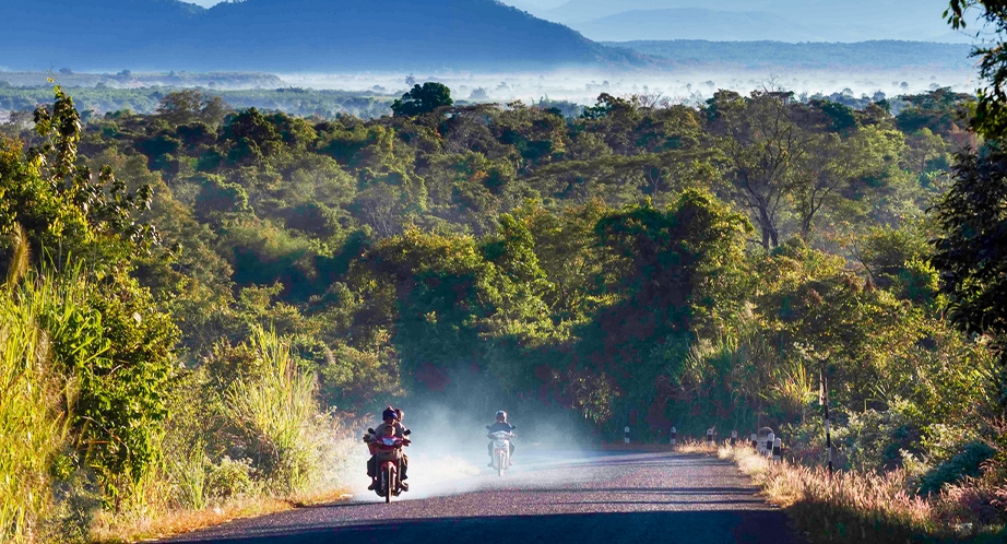 Plateau Bolovens (Laos)