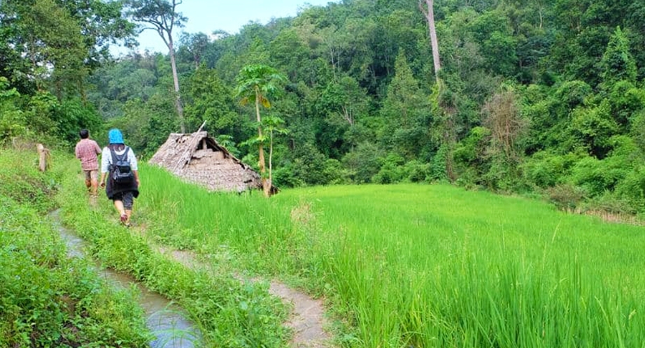 Randonnée à Mae Sapok