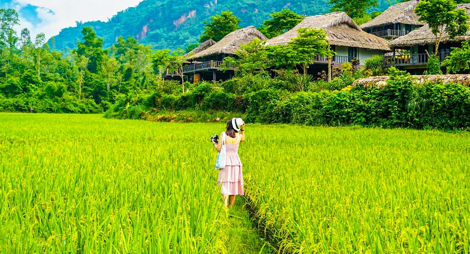 Vallée de Mai Chau