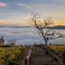 Circuit Da Lat Nha Trang 4 Jours - Recommandations De M. Albert 