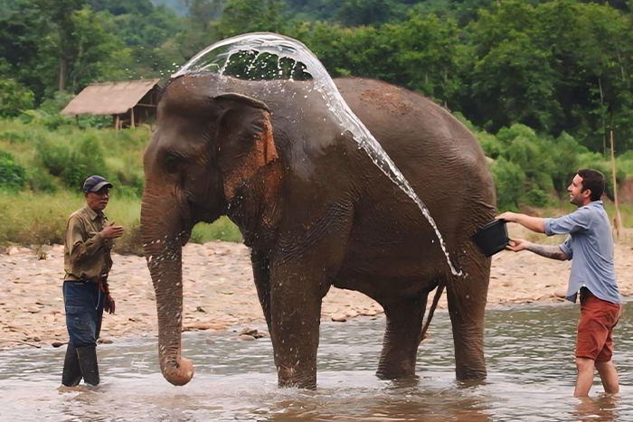 Expérience unique avec Agence de voyage au Laos