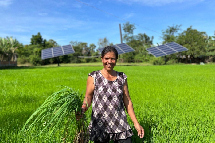 Les Cambodgiens plantent du riz