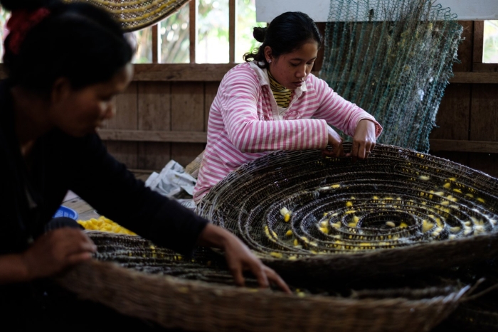 Angkor Silk Farm, Siem Reap, Cambodge