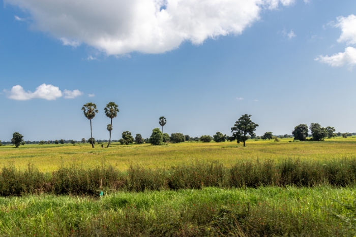 La fin de la saison sèche à Battambang : quand partir à Battambang en novembre, mars et avril
