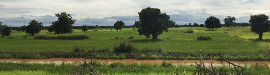 Quand partir à Battambang ?