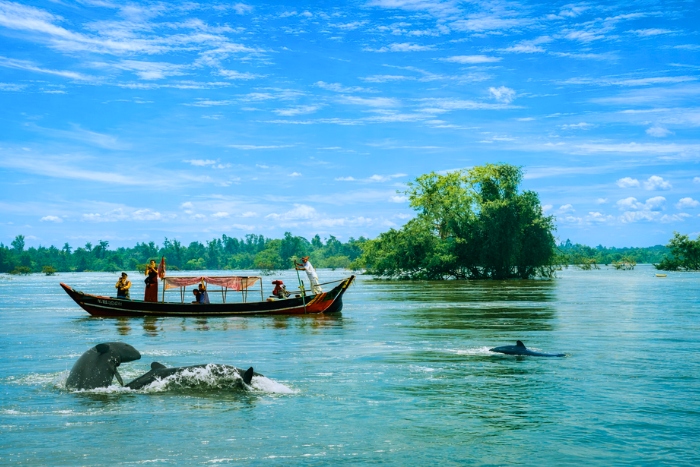 Rencontre magique avec les dauphins de l’Irrawaddy