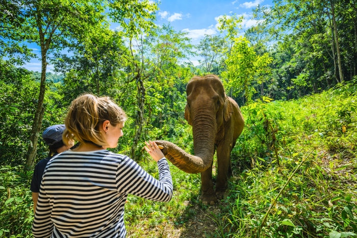 Découverte des éléphants à Mondulkiri avec enfants en voyage organisé Cambodge