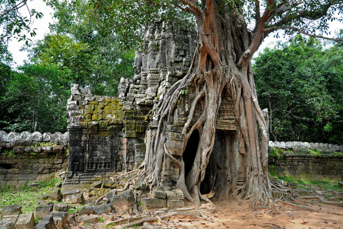 Ta Som, un petit temple du complexe d’Angkor Wat, mais très photogénique