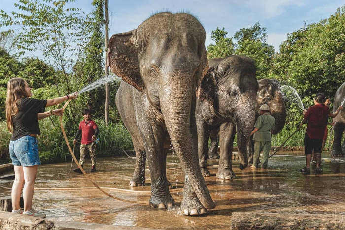 Kulen Elephant Forest, un sanctuaire éthique pour les éléphants pour votre circuit Cambodge 2 semaines