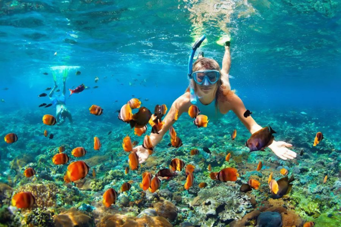 Ne manquez pas l'expérience de snorkeling pour admirer les récifs coralliens et les poissons multicolores à Koh Rong!