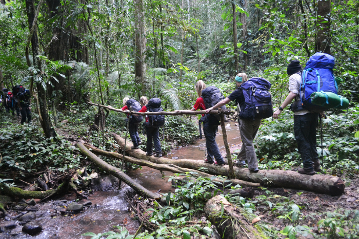 Trek dans le forêt primaire de Luang Namtha