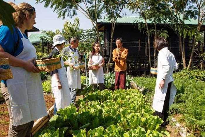 Immersion culturelle avec un cours de cuisine à Bagan