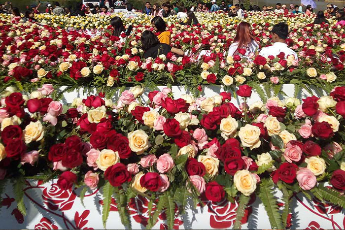 Festival des fleurs de Waso