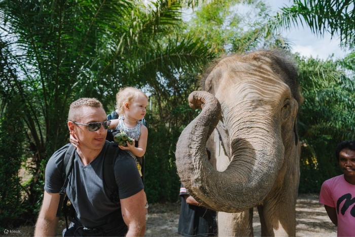 Visiter le Sanctuaire de la jungle des éléphants de Phuket