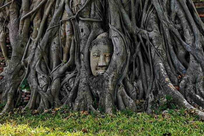 Wat Mahathat, un incontournable pendant mon voyage à Ayutthaya 2 jours