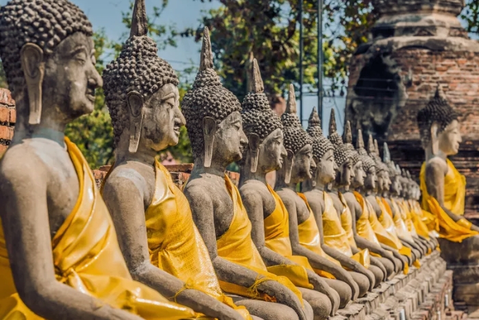 Rangées de statues de Bouddha drapées de tissu doré