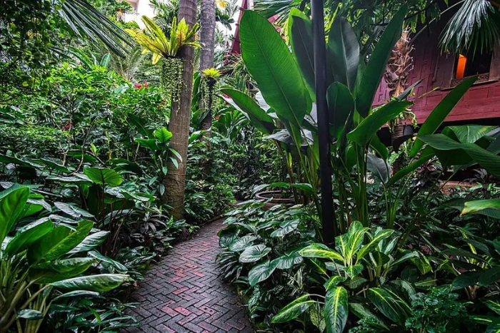 Jardin tropical de maison de Jim Thompson
