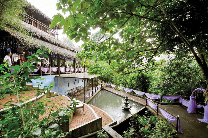 Tamarind Springs Forest Spa vous offre une expérience de massage en pleine nature sauvage