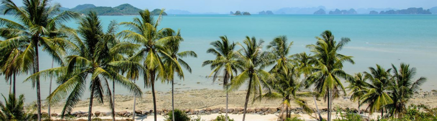 Vous pouvez trouver facilement un homestay à Koh Yao Yai avec la vue sur la plage