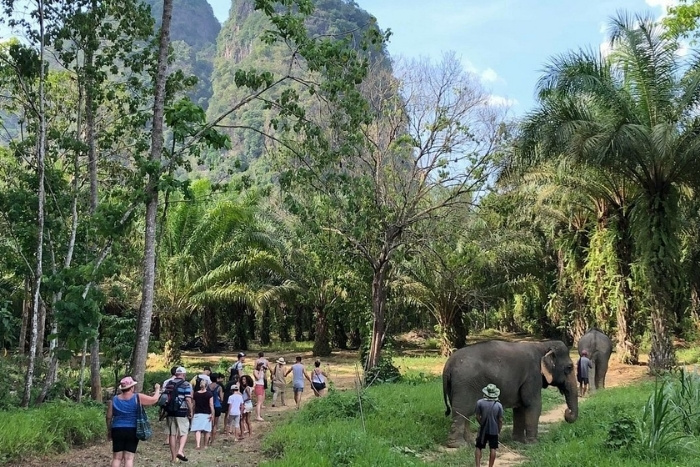 le parc national de Khao Sok