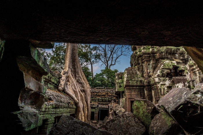 Ta Prohm – Temple envahi par la jungle