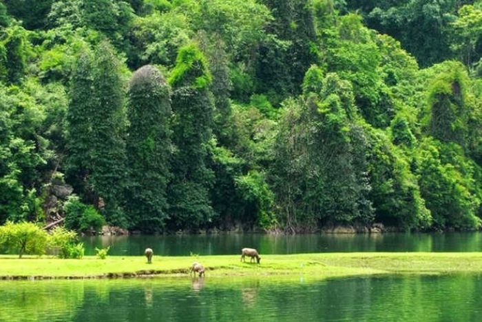 Le voyage de Sapa à Ba Be offre une immersion dans les paysages montagneux